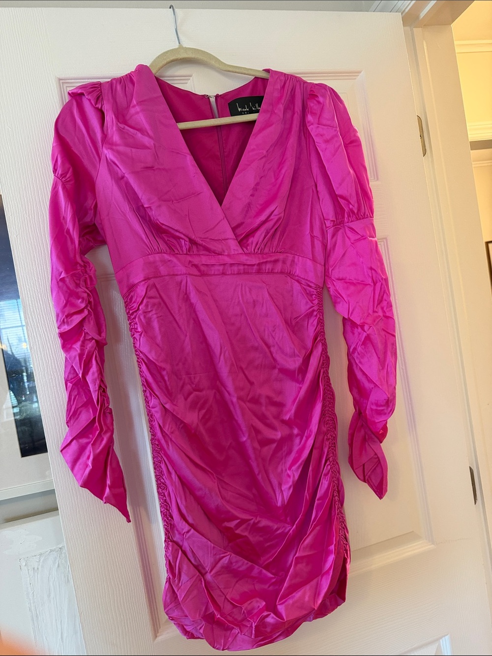 V-Neck Long Sleeve Ruched Dress in Hot Pink